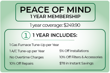 1 year peace of mind graphic