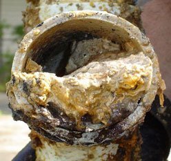 Grease plugged drain=