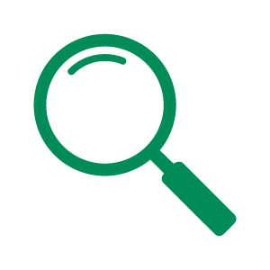 magnify icon